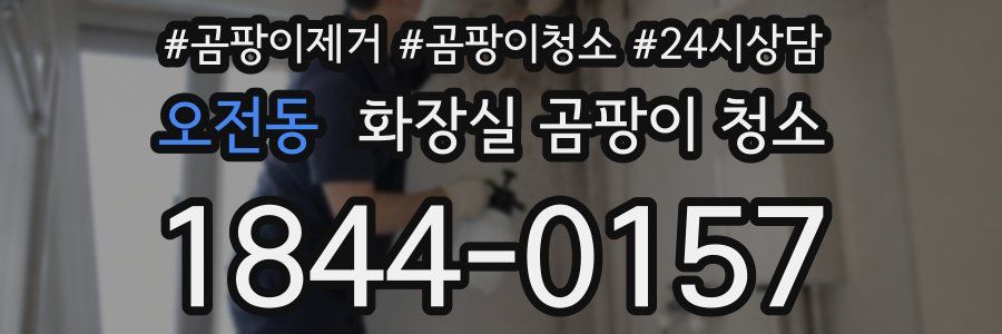 오전동 화장실 곰팡이 청소