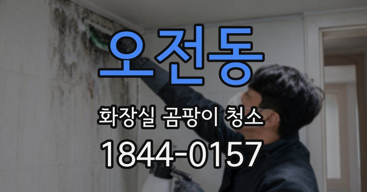 오전동 화장실 곰팡이 청소