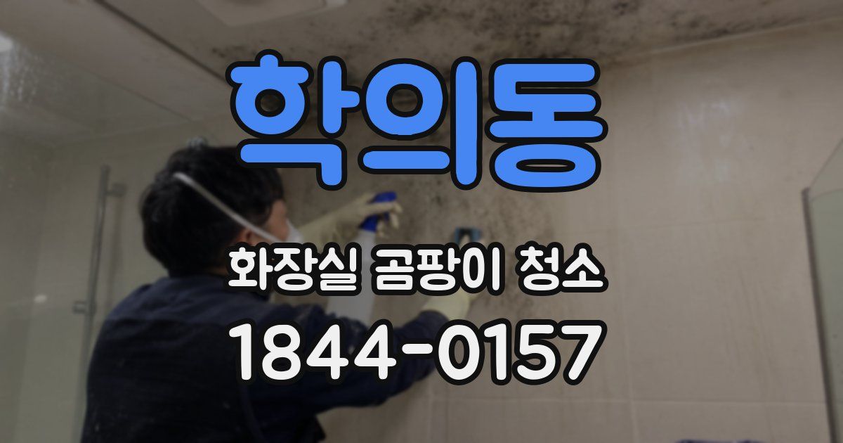 학의동 화장실 곰팡이 청소