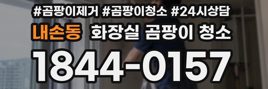 내손동 화장실 곰팡이 청소