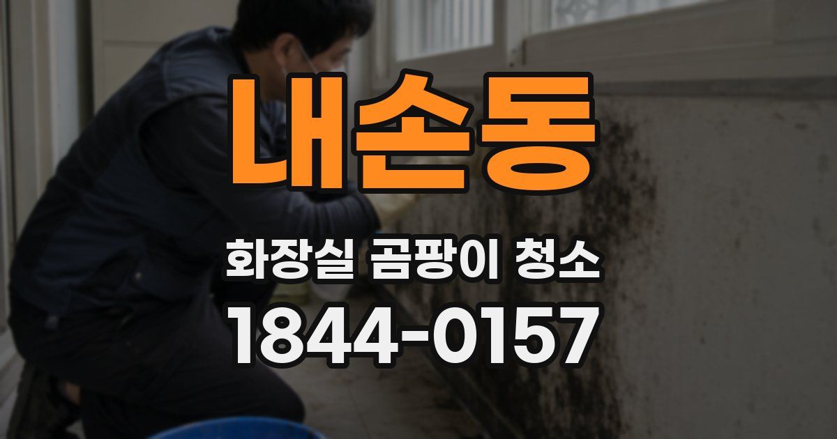 내손동 화장실 곰팡이 청소
