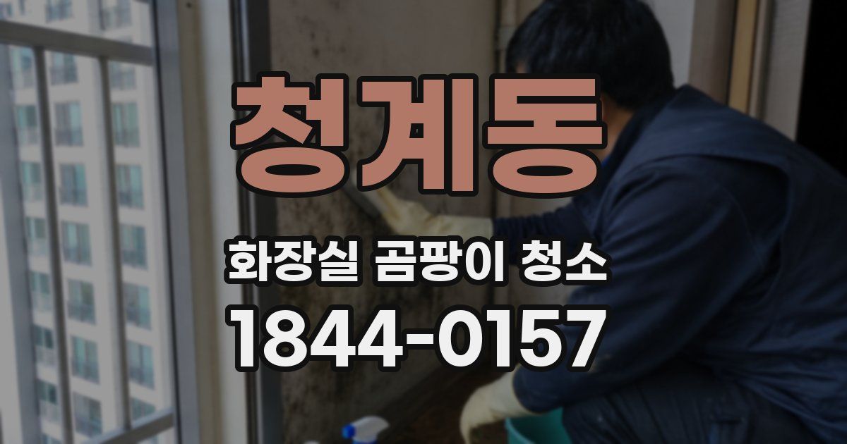 청계동 화장실 곰팡이 청소