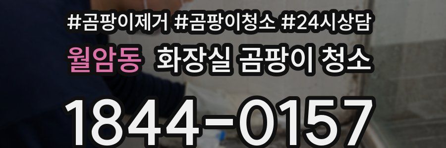 월암동 화장실 곰팡이 청소