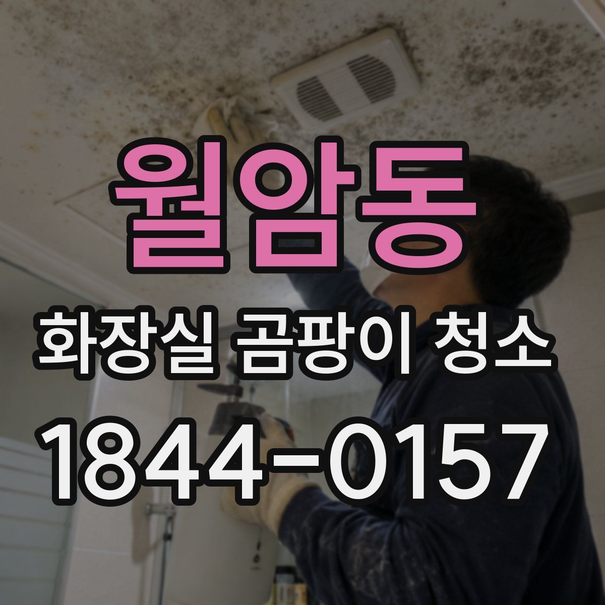 월암동 화장실 곰팡이 청소