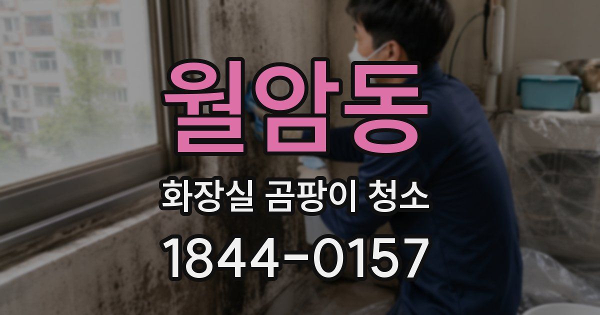 월암동 화장실 곰팡이 청소