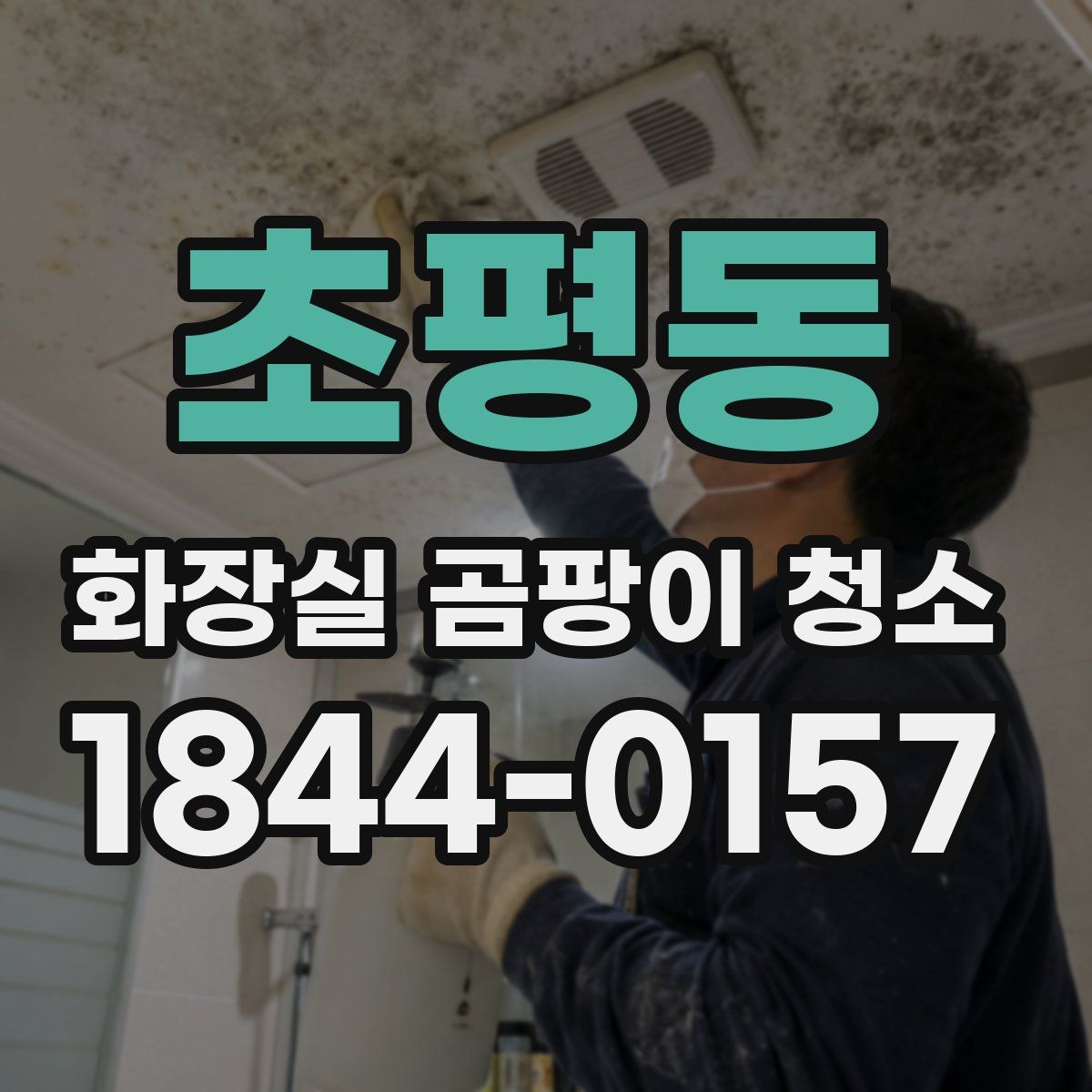 초평동 화장실 곰팡이 청소