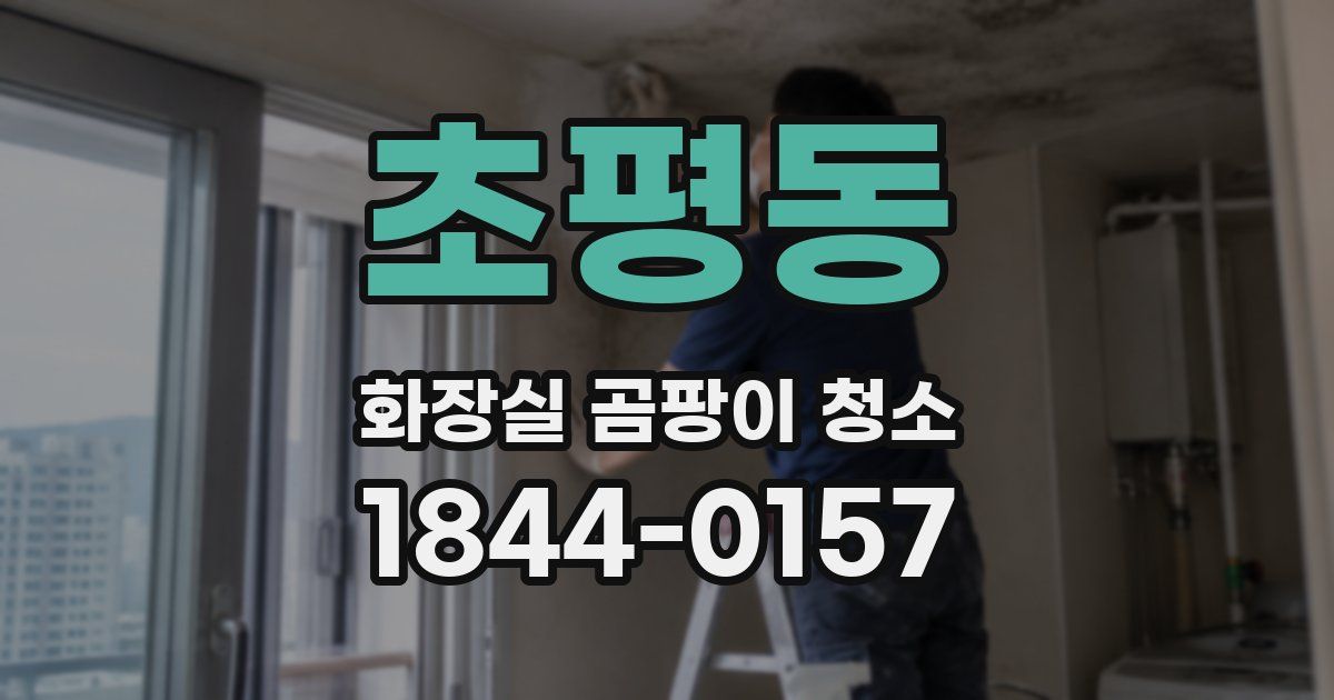 초평동 화장실 곰팡이 청소