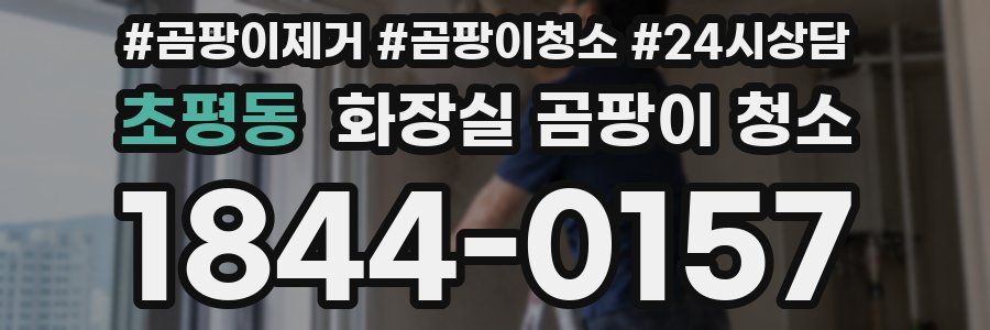 초평동 화장실 곰팡이 청소