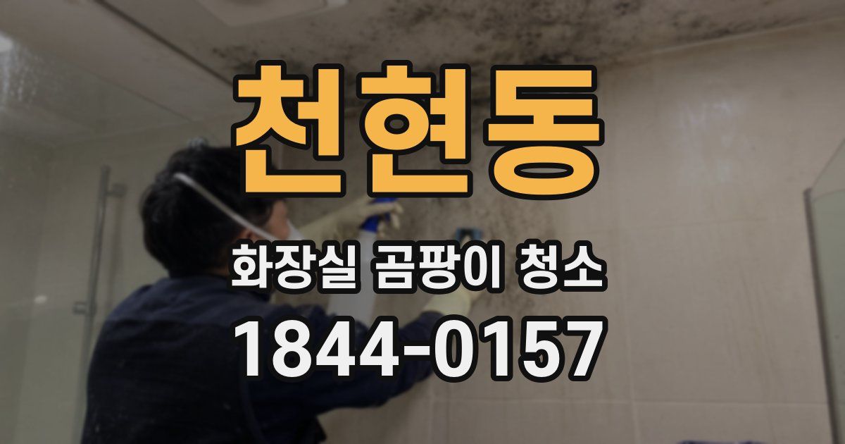 천현동 화장실 곰팡이 청소