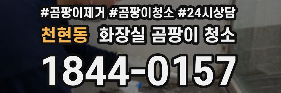 천현동 화장실 곰팡이 청소