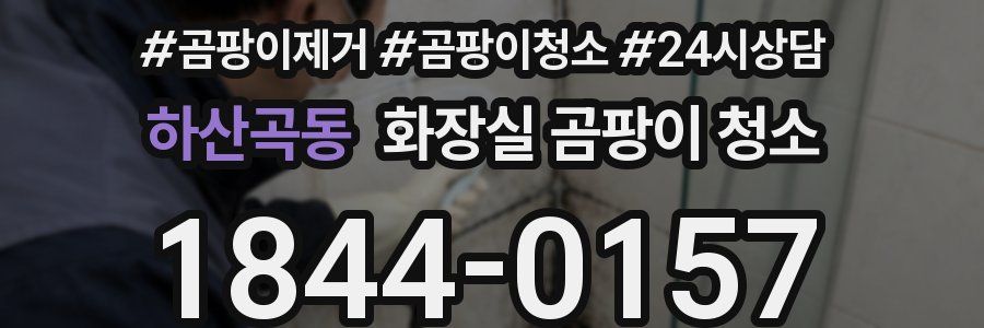 하산곡동 화장실 곰팡이 청소