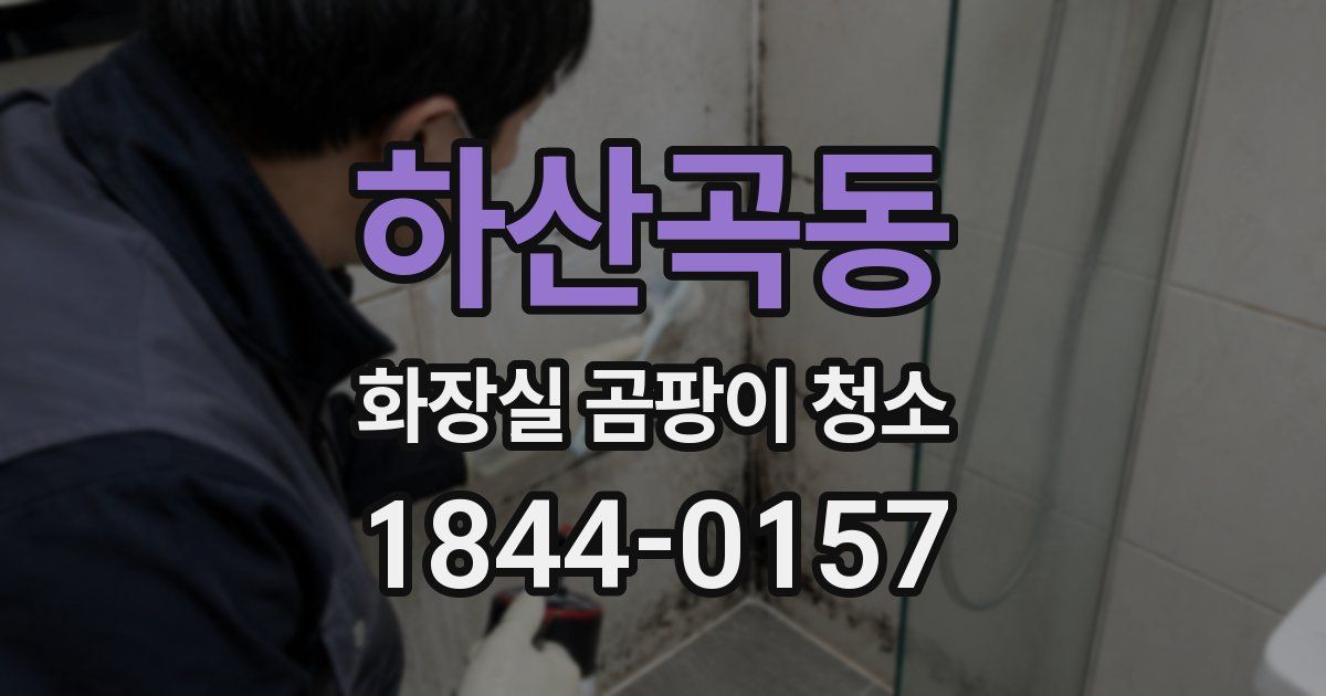 하산곡동 화장실 곰팡이 청소