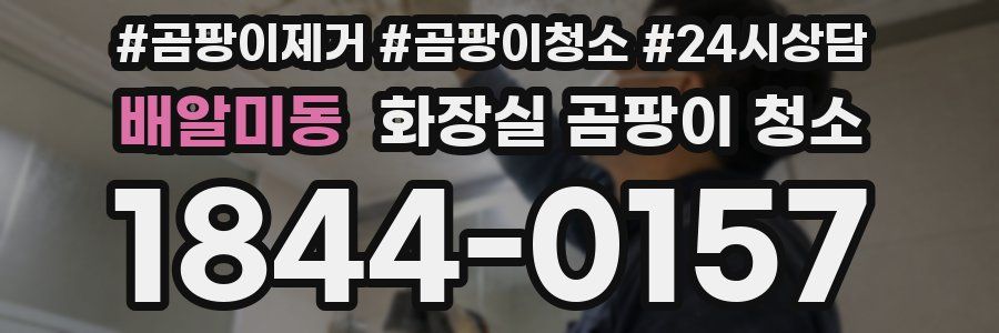 배알미동 화장실 곰팡이 청소