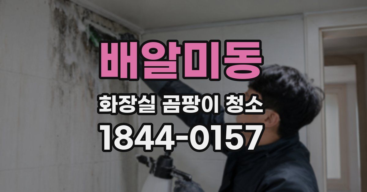 배알미동 화장실 곰팡이 청소