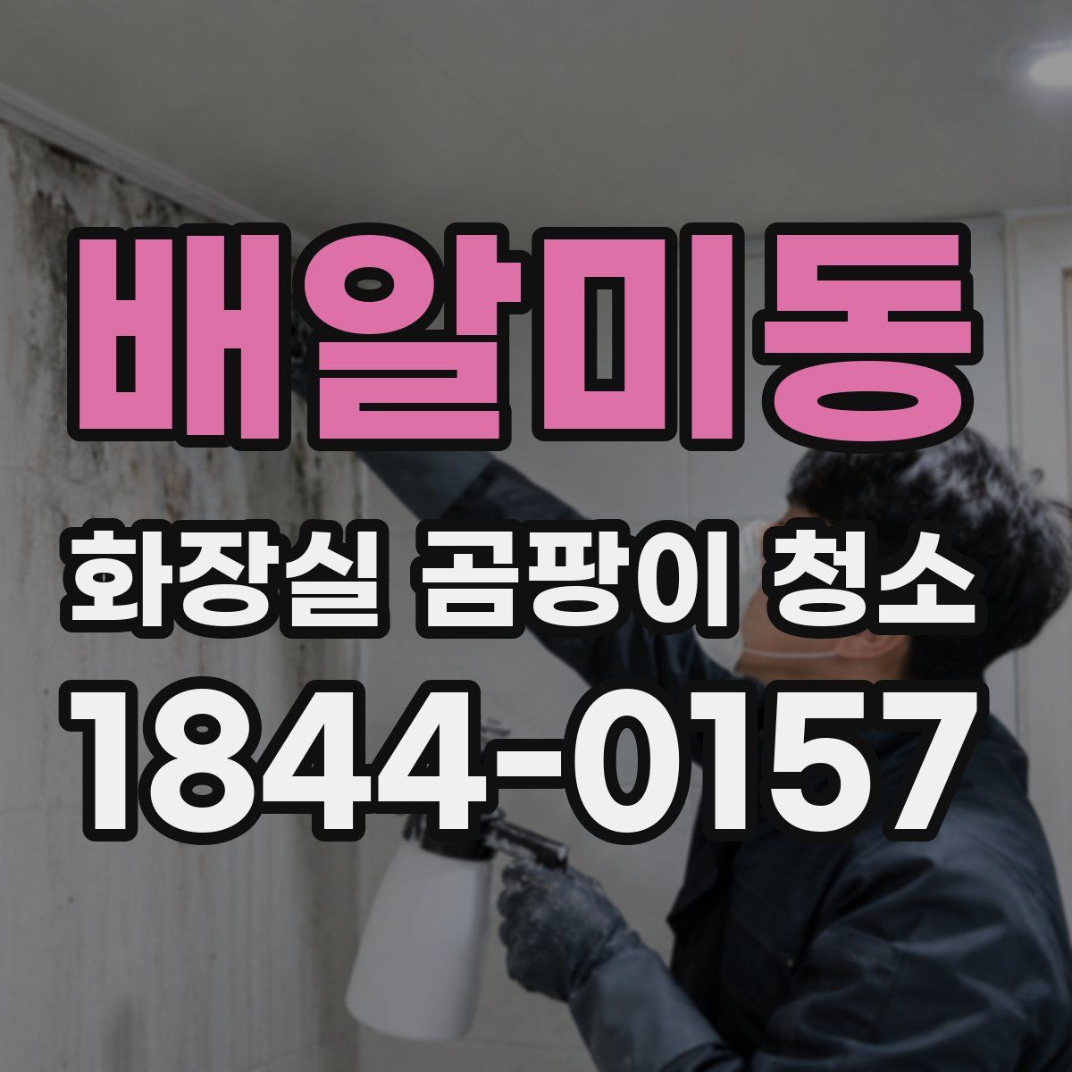 배알미동 화장실 곰팡이 청소