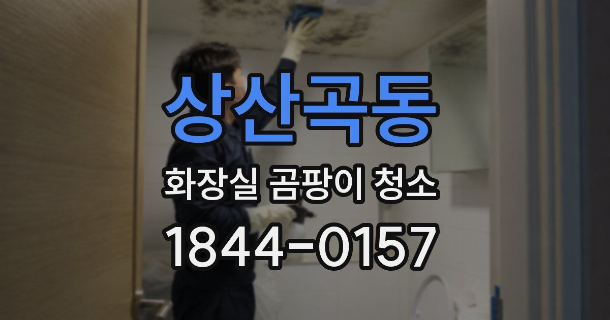상산곡동 화장실 곰팡이 청소