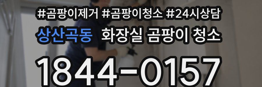 상산곡동 화장실 곰팡이 청소