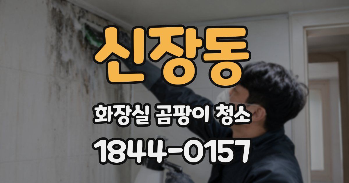 신장동 화장실 곰팡이 청소