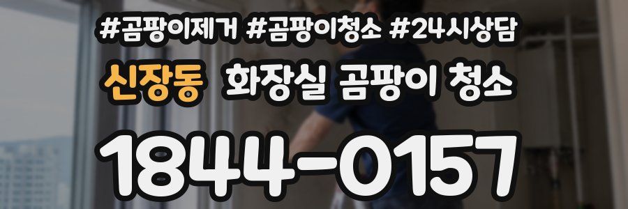 신장동 화장실 곰팡이 청소