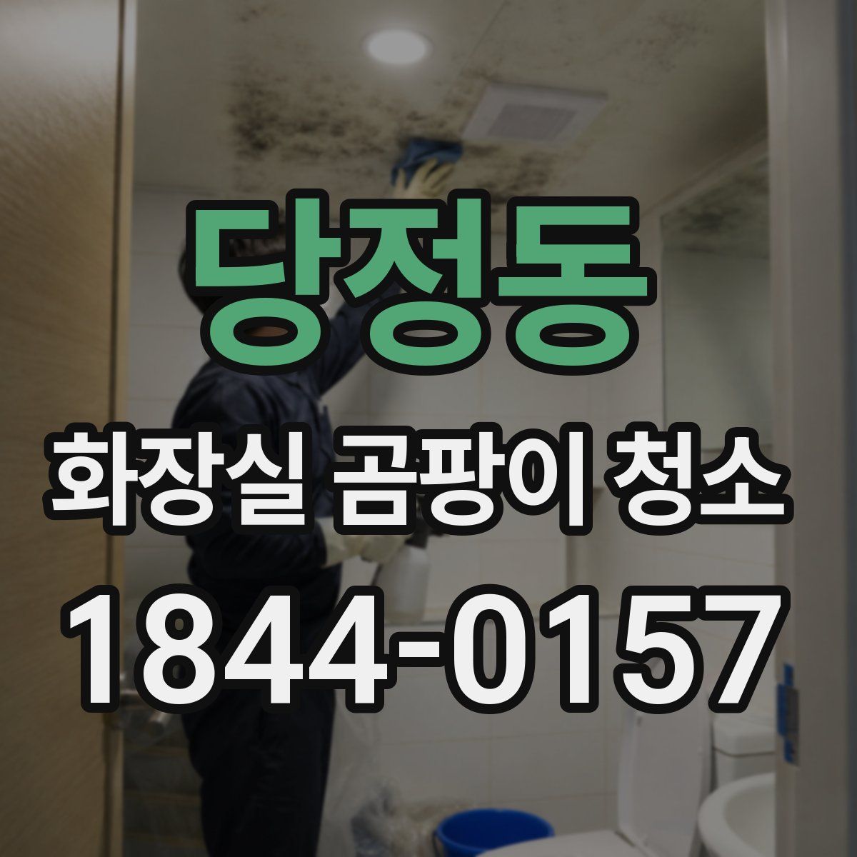 당정동 화장실 곰팡이 청소