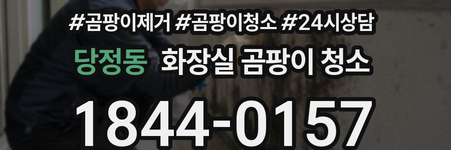 당정동 화장실 곰팡이 청소