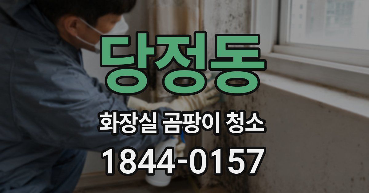 당정동 화장실 곰팡이 청소