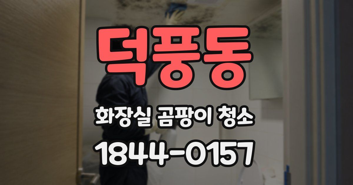 덕풍동 화장실 곰팡이 청소