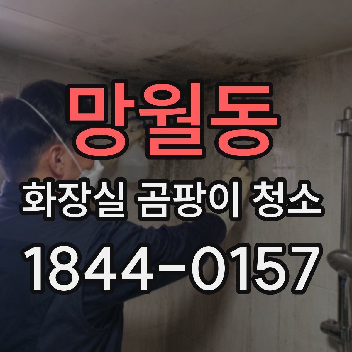 망월동 화장실 곰팡이 청소