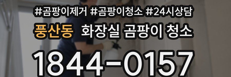 풍산동 화장실 곰팡이 청소