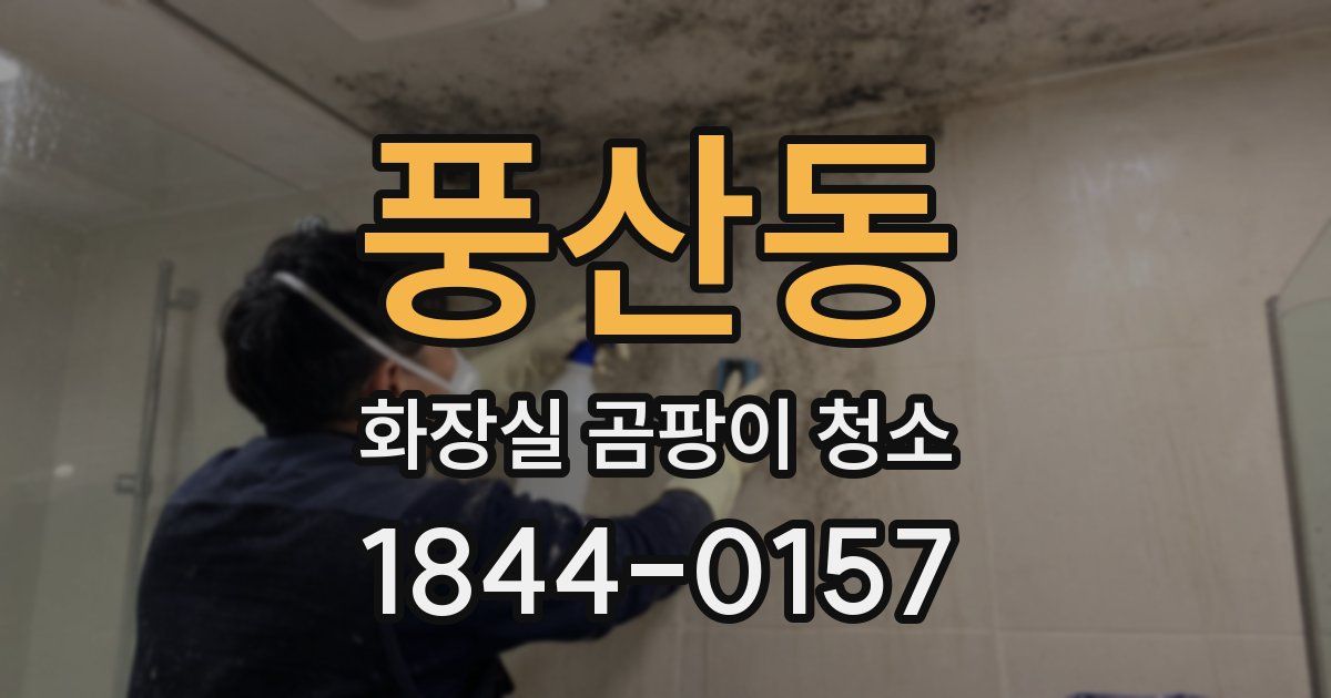 풍산동 화장실 곰팡이 청소