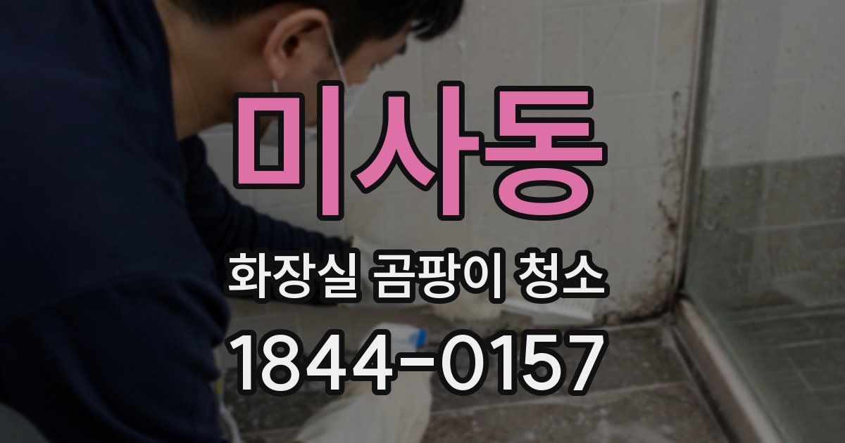 미사동 화장실 곰팡이 청소