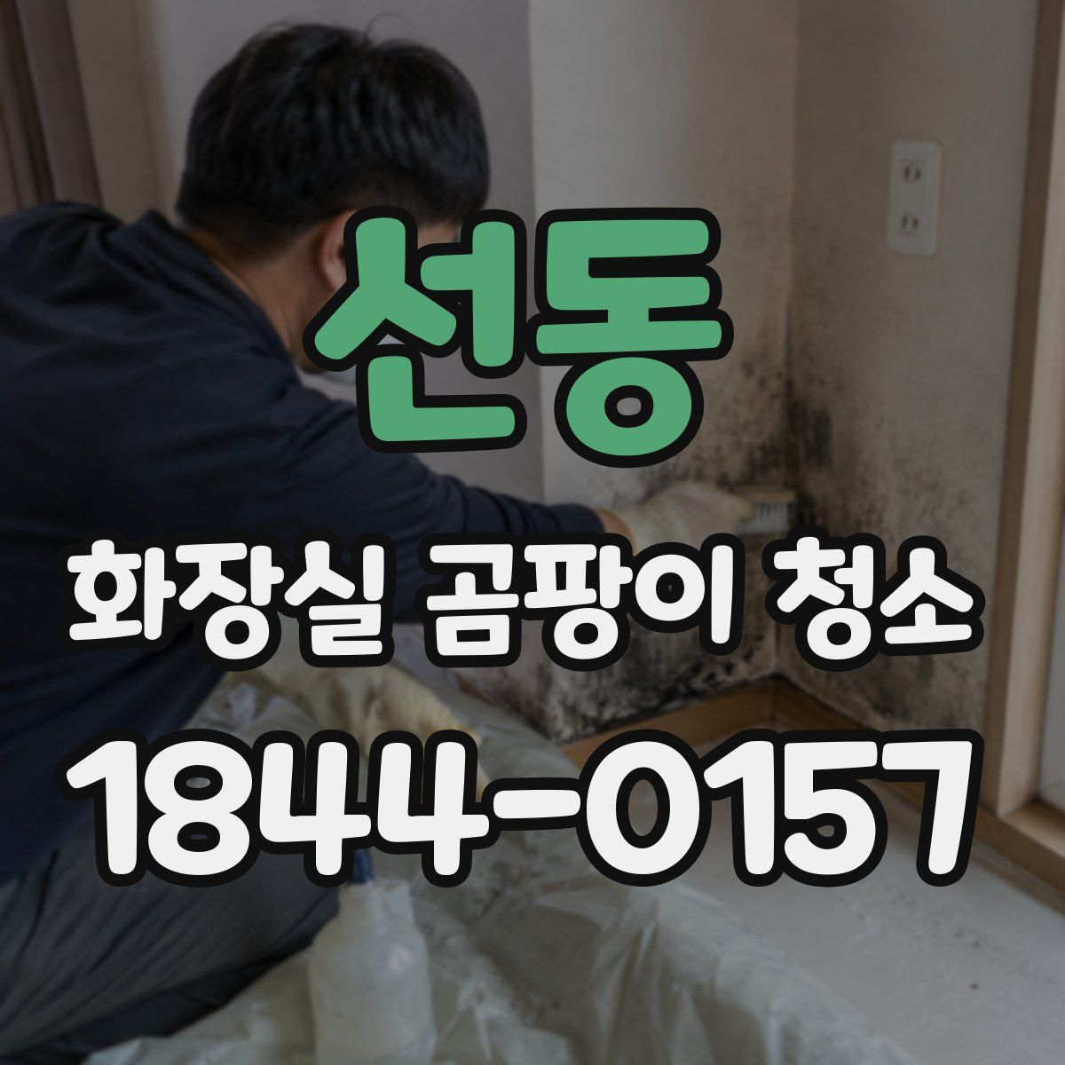 선동 화장실 곰팡이 청소