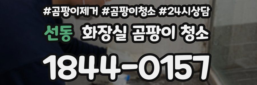 선동 화장실 곰팡이 청소