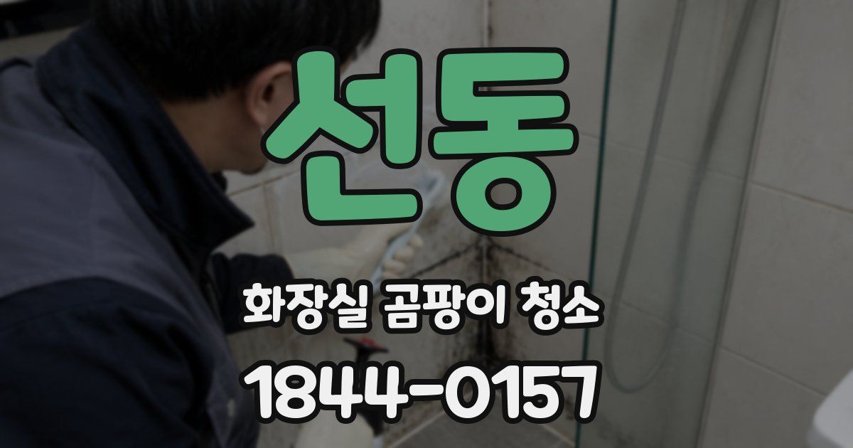 선동 화장실 곰팡이 청소
