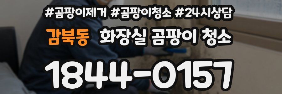 감북동 화장실 곰팡이 청소
