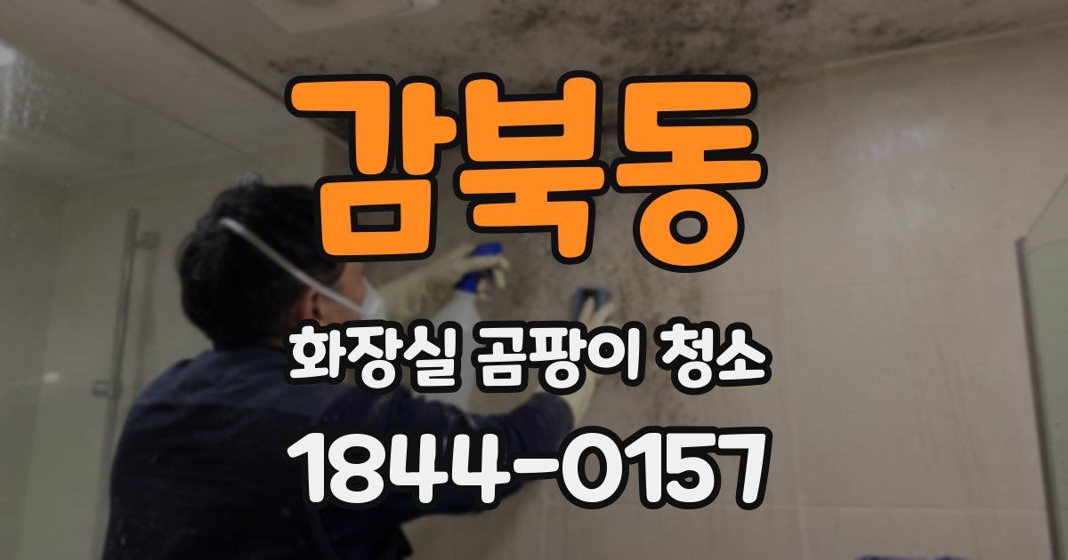 감북동 화장실 곰팡이 청소