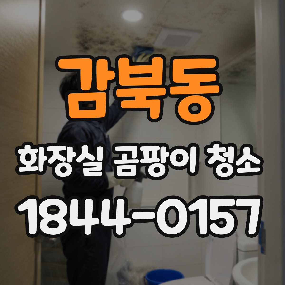 감북동 화장실 곰팡이 청소