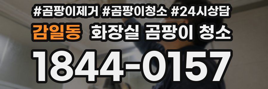 감일동 화장실 곰팡이 청소