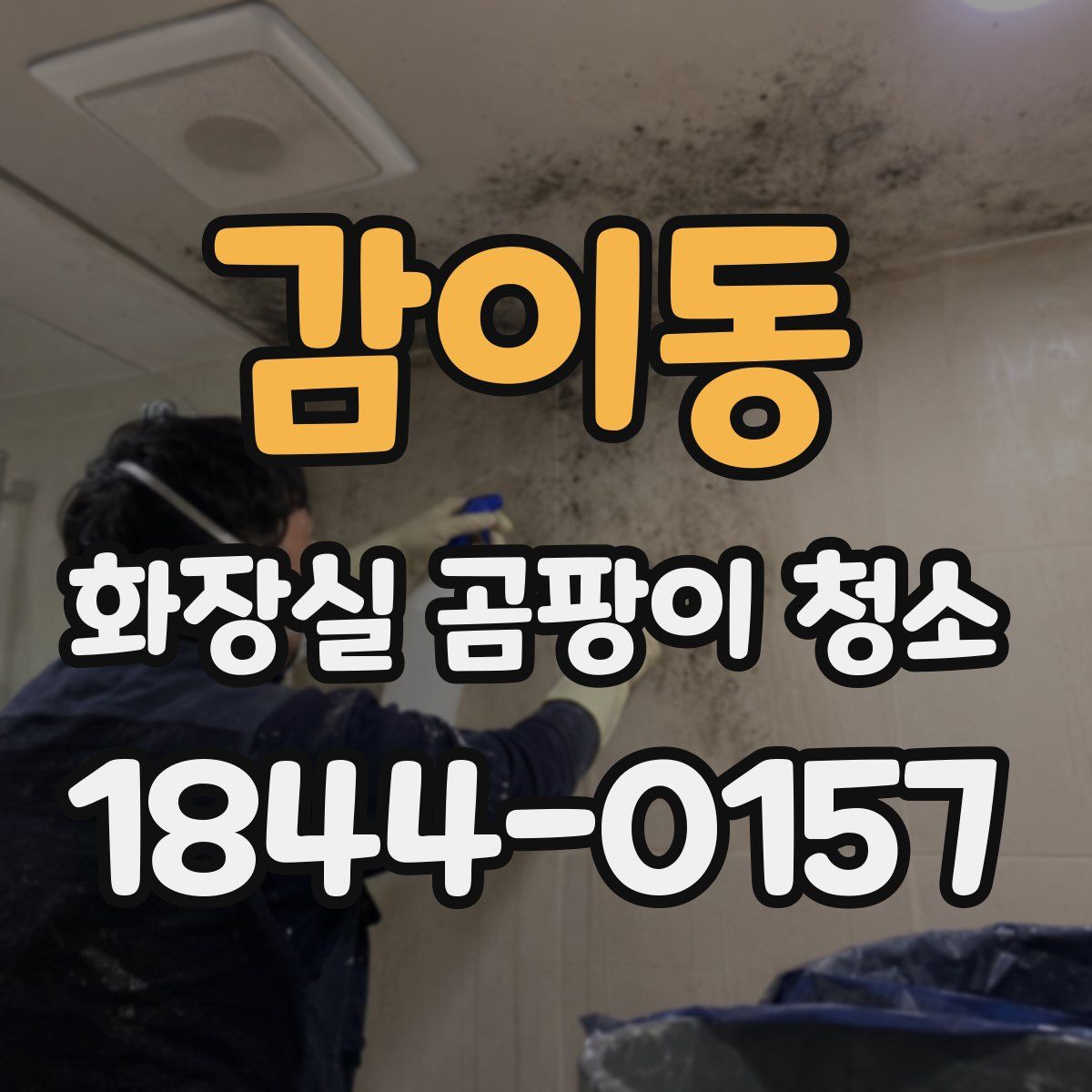 감이동 화장실 곰팡이 청소
