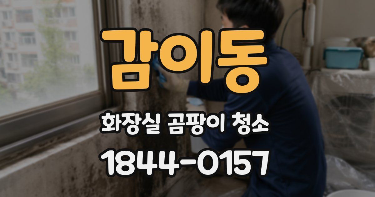 감이동 화장실 곰팡이 청소