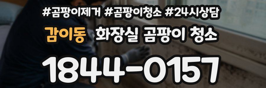 감이동 화장실 곰팡이 청소