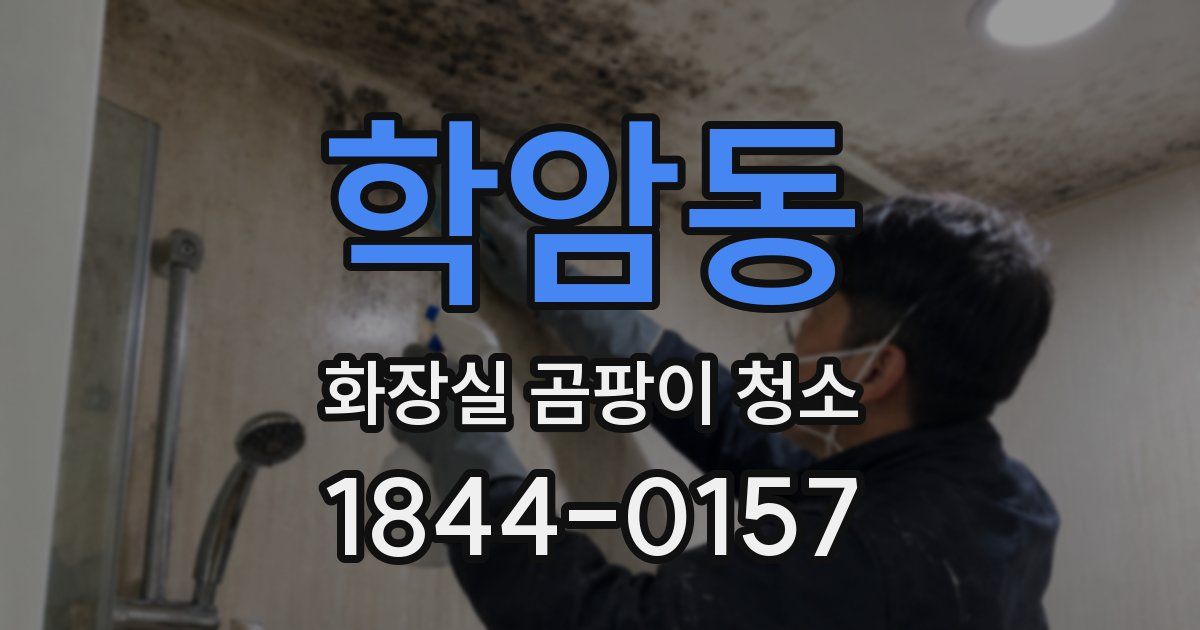 학암동 화장실 곰팡이 청소