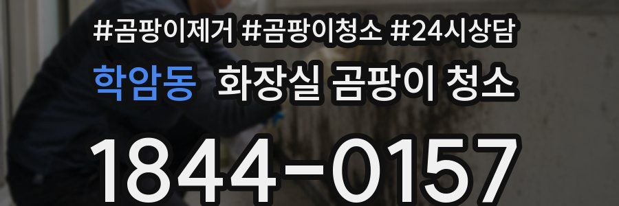 학암동 화장실 곰팡이 청소