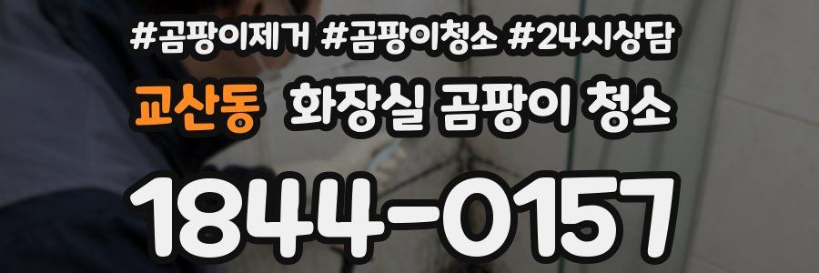 교산동 화장실 곰팡이 청소