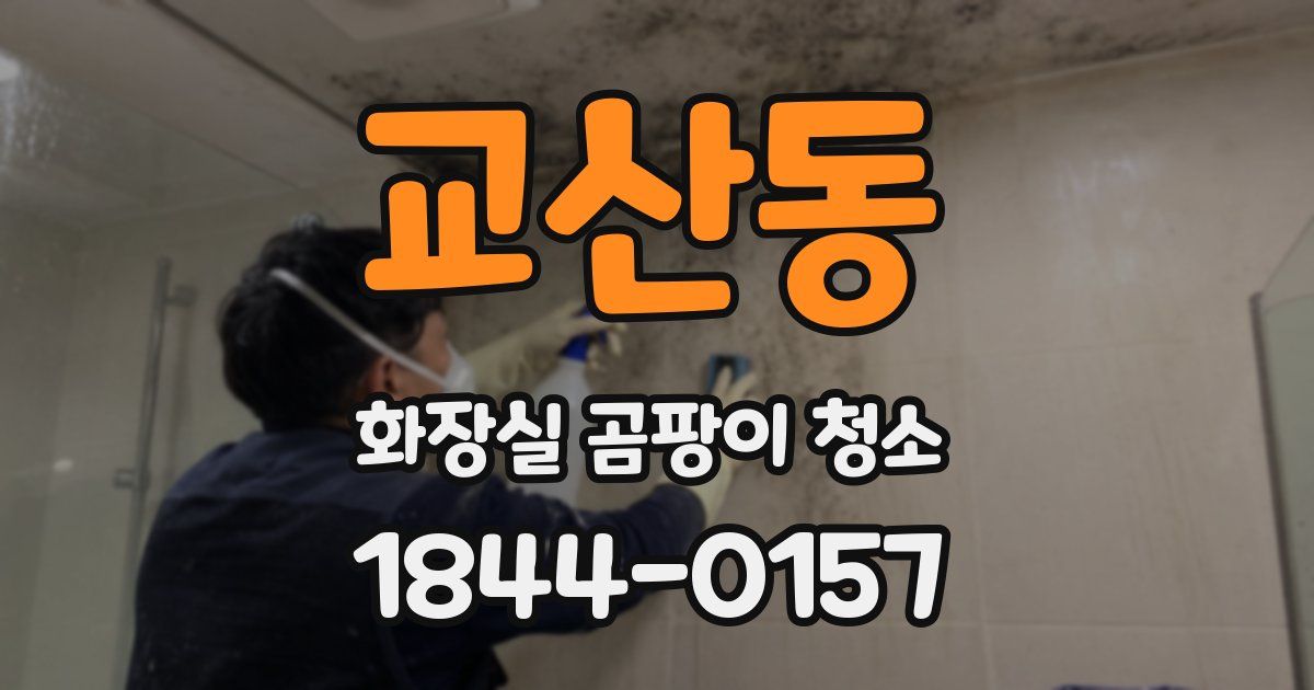 교산동 화장실 곰팡이 청소