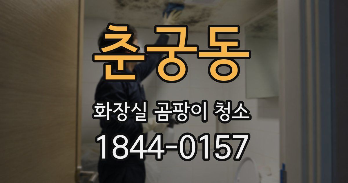 춘궁동 화장실 곰팡이 청소