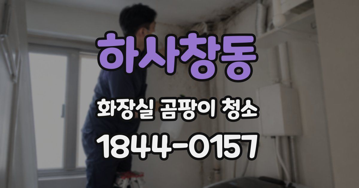 하사창동 화장실 곰팡이 청소