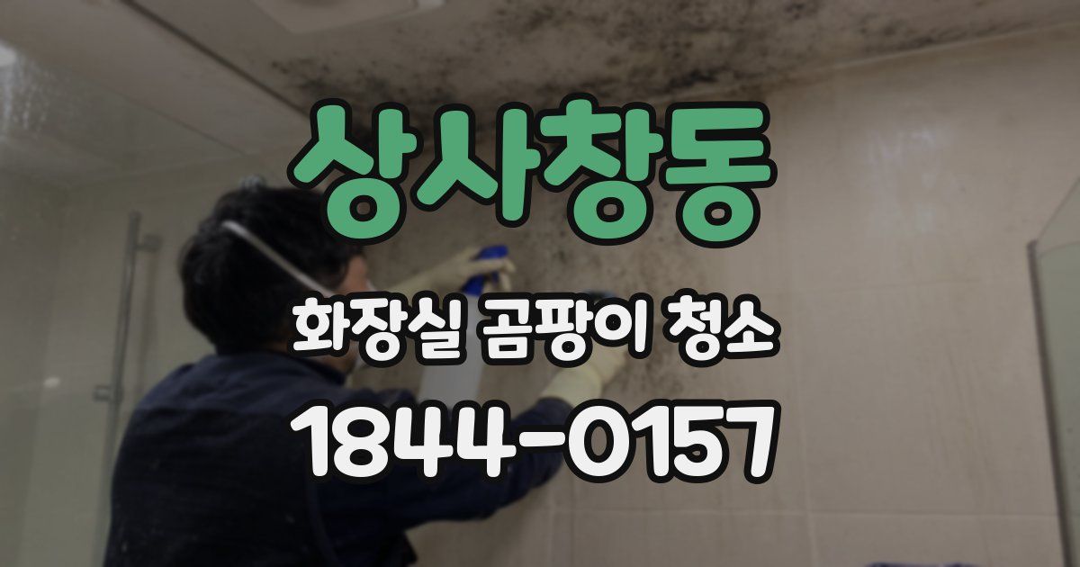 상사창동 화장실 곰팡이 청소