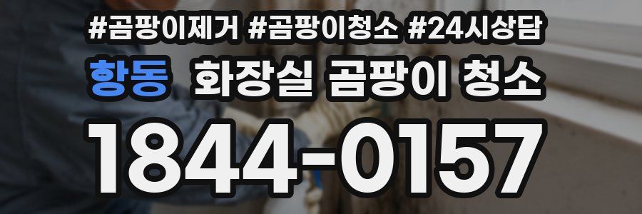 항동 화장실 곰팡이 청소