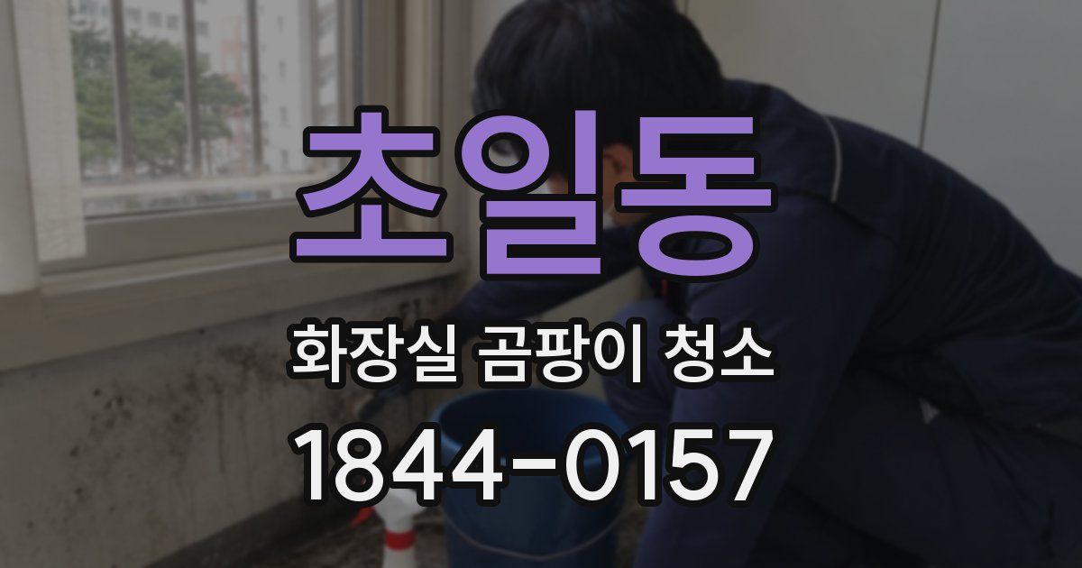초일동 화장실 곰팡이 청소